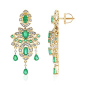 14K AAA Zambian Emerald Gold Earrings (de Melo)
