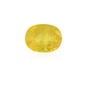 Yellow Sapphire other gemstone 1,749 ct