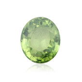 Green Tourmaline other gemstone 1,7 ct