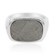 Iron Meteorite Silver Ring