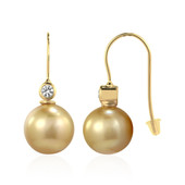 9K Golden South Sea Pearl Gold Earrings (TPC)