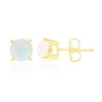 14K AAA Welo Opal Gold Earrings (CIRARI)