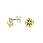 9K Ouro Verde Quartz Gold Earrings (dagen)