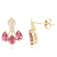 10K Unheated Padparadscha Sapphire Gold Earrings