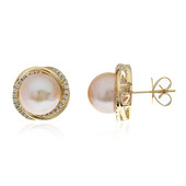 14K Freshwater pearl Gold Earrings (CIRARI)