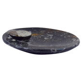 Accessory with Goniatite