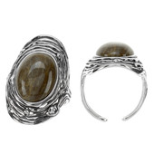 Petrified Wood Silver Ring (dagen)