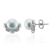 Silver Freshwater Pearl Silver Earrings (TPC)