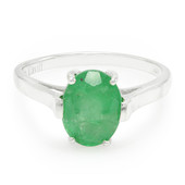 Bahia Emerald Silver Ring (Cavill)