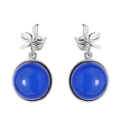 Colombian blue Amber Silver Earrings