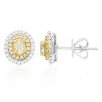 14K Yellow Diamond Gold Earrings