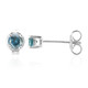 Blue Diamond Silver Earrings