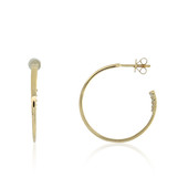 18K Flawless (F) Diamond Gold Earrings (LUCENT DIAMONDS)