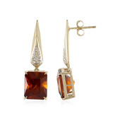 14K Hessonite Garnet Gold Earrings (de Melo)